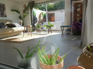 Maisons de vacances Tropical Couple : photos des chambres