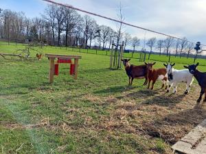 Boerderijcamping het Katreel