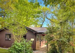 Shrew Lodge-woodland Lodges-Hot Tub-Pembrokeshire-Tenby - Llanwinio