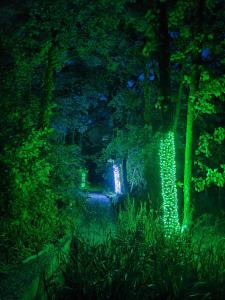 Shrew Lodge-woodland Lodges-Hot Tub-Pembrokeshire-Tenby