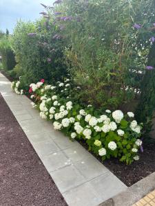 Bel appartement centre climatisé parking privé