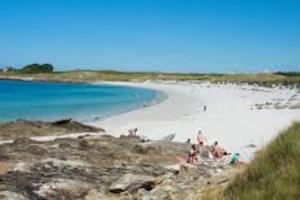 Maisons de vacances Gite entre Mer et Abers : photos des chambres