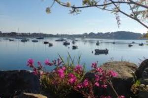 Maisons de vacances Gite entre Mer et Abers : photos des chambres