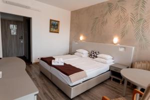 Single Room with Private Bathroom room in Aphrodite Hotel