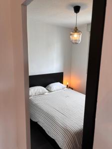 Appartements Charmant appartement Toulouse : photos des chambres