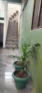 Limewood homestay