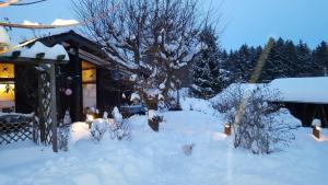 Ferienhaus Amselnest