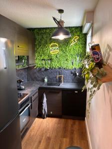 Charmant appartement Toulouse