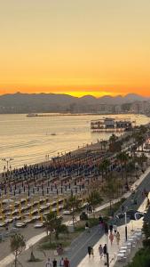 Wave Beachfront Apartments