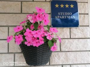 Apartment Borna 
