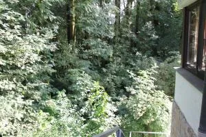 FeWo Harling - Waldsamkeit - 格奥尔格斯马林许特