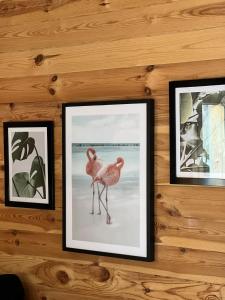 Maisons d'hotes Hygge Lodge Annecy : photos des chambres