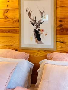 Maisons d'hotes Hygge Lodge Annecy : photos des chambres
