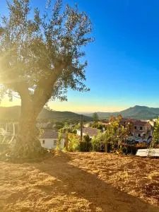 Bella Vita - 卡伦扎纳