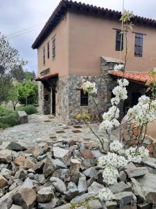 FIKARDOU ALMOND PARK