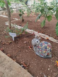 Off grid Robinson house Karmen