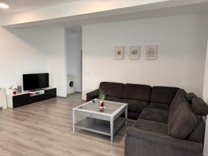 Mall Torontal Lux Apartament