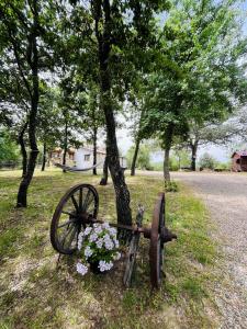 Ovostolai Cottage img35
