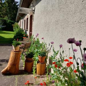 Mini-1-Raum-Apartment mit eigenem Eingang