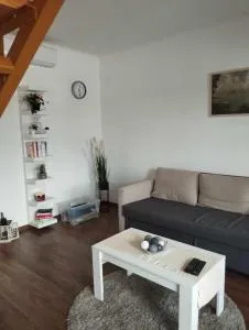 Anna Apartman - 鲍洛通绍鲍迪