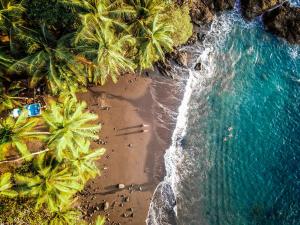 The Jaguars Jungle Rainforest Lodge - All meals included