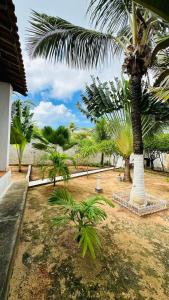 B&B Residencia Casa Branca