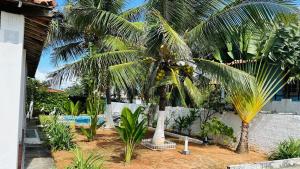 B&B Residencia Casa Branca