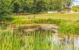 Amazing Home In Ustka With Kitchen