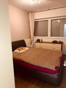 Sejours chez l'habitant Chambres a loyers dans un Penthause : Chambre Deluxe