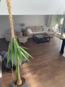 Sejours chez l'habitant Chambres a loyers dans un Penthause : photos des chambres