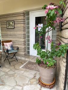 B&B / Chambres d'hotes Le jardin des Verottes : photos des chambres