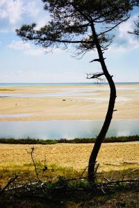 Maisons de vacances Gite de caractere a moins de 10min des plages : photos des chambres