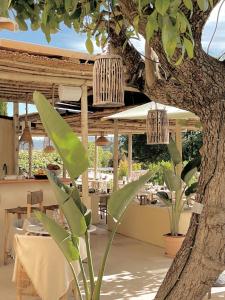 Hotels Toile Blanche : photos des chambres