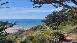 B&B / Chambres d'hotes L-Escale Fleurie a Saint Brieuc : photos des chambres