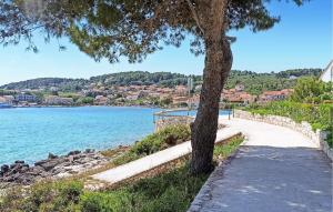 Apartment Lumbarda Iv