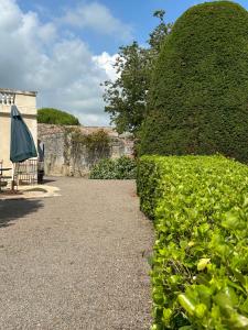 Villas Logis de l-oie : photos des chambres