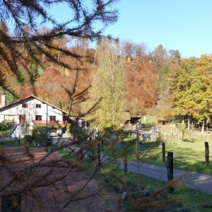 Maisons de vacances Gite De La Vallee : photos des chambres