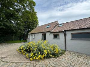 De Veldmuis, met mooie speelhoek en speelhuis