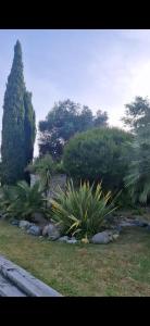 Campings Mobil Home Camping 4* : photos des chambres