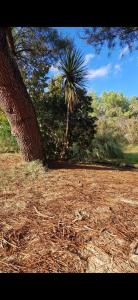 Mobil Home Camping 4*