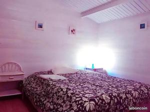 Cap Ferret Villa Grand Chalet Bois