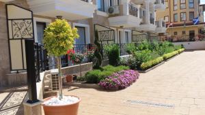 Polarstar Apartment Verona