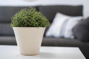 Costa Calma Barca Beach