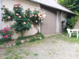 Maison familiale côteaux de la Vézère - Allassac