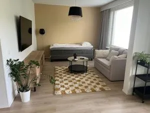 Tilava yksiö Ilmainen pysäköinti - Rissala