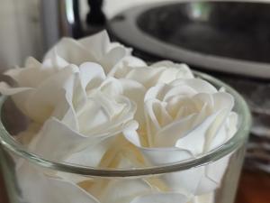 Ile des Plaisirs - Petit-Dejeuner Tropical - Chambres dHotes Adultes