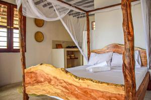 Tropical Beach Studios