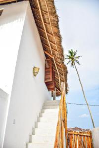 Tropical Beach Studios