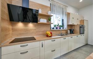 Pet Friendly Home In Vinica Breg 