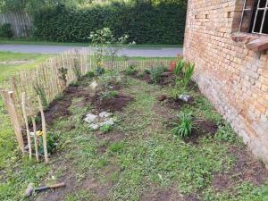 Ferienhaus Sommer Linden